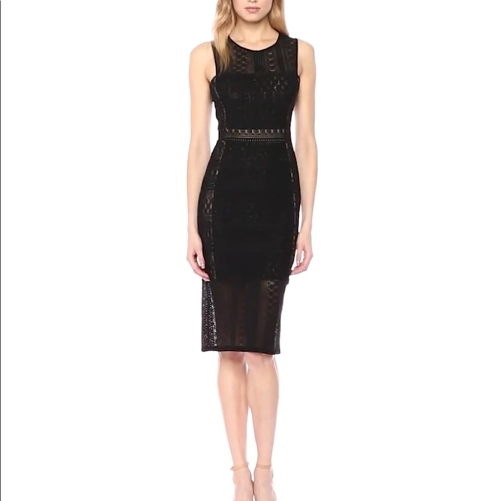 BCBG MaxAzria Black Sleeveless Lace Sita Dress